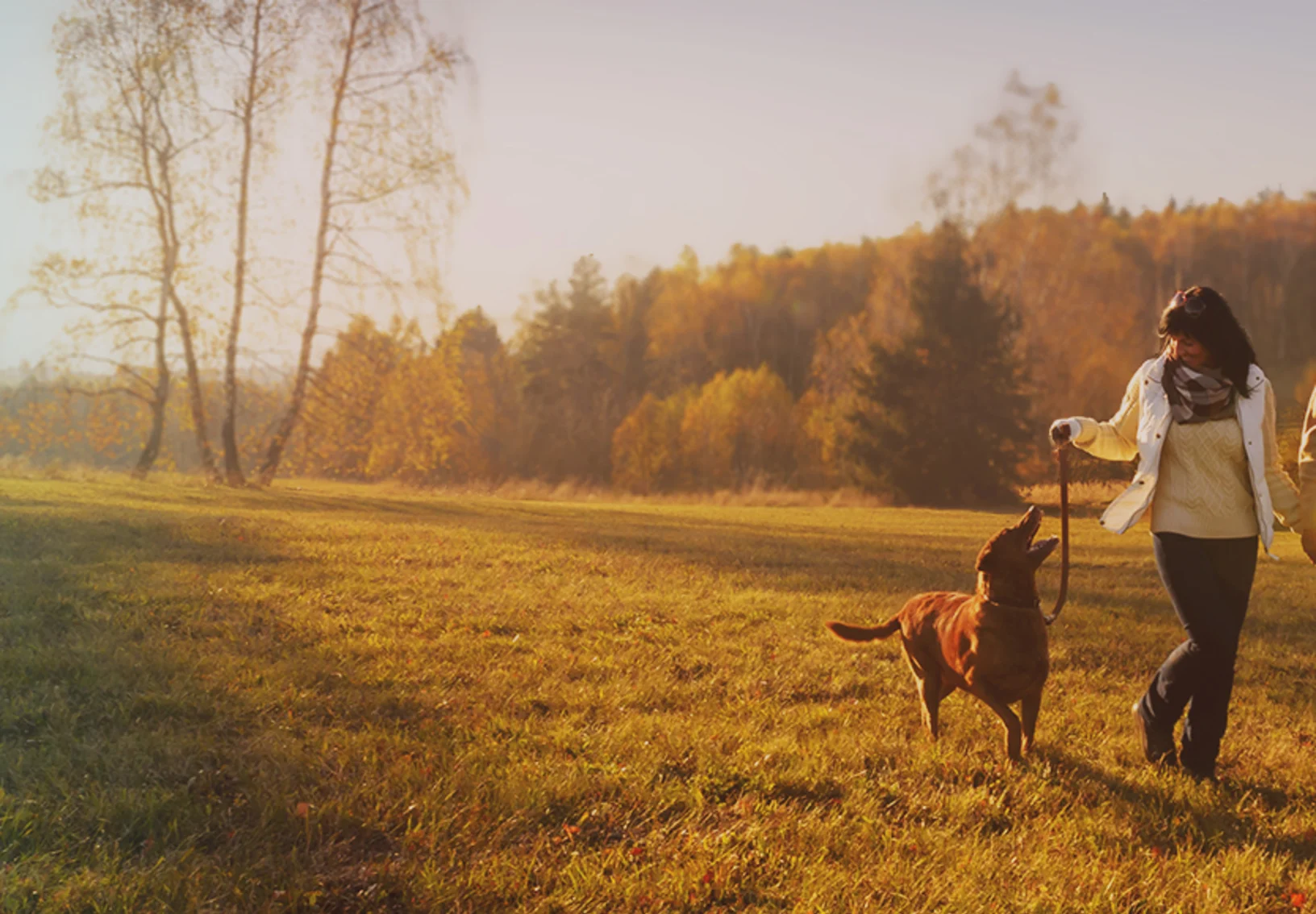 A couple walking their dog through an autumnal landscape